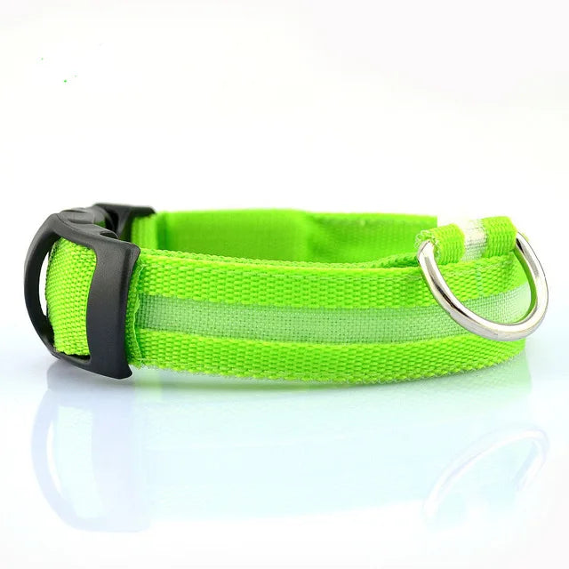 Nylon LED Dog Collar