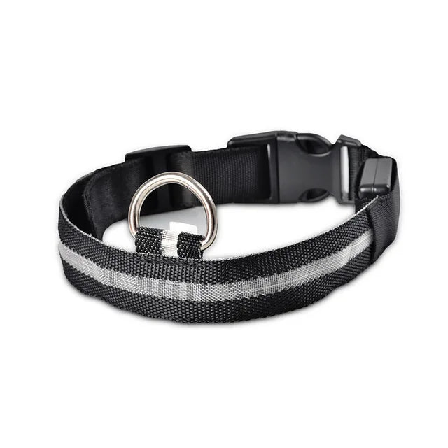 Nylon LED Dog Collar